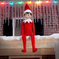 Elf on the roof