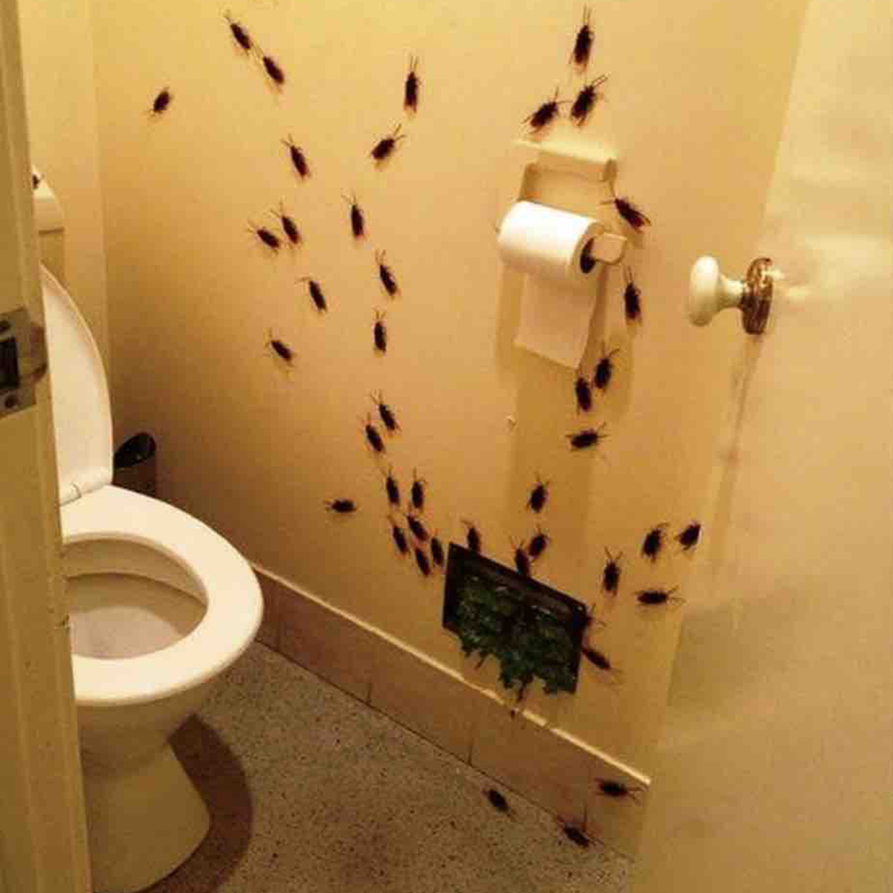 Adhesive Bug Explosion™