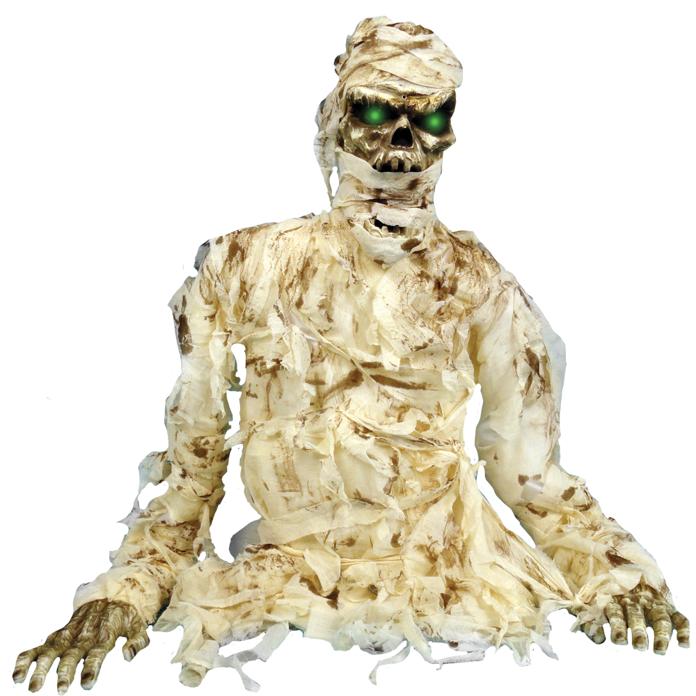 Thrashing Mummy™