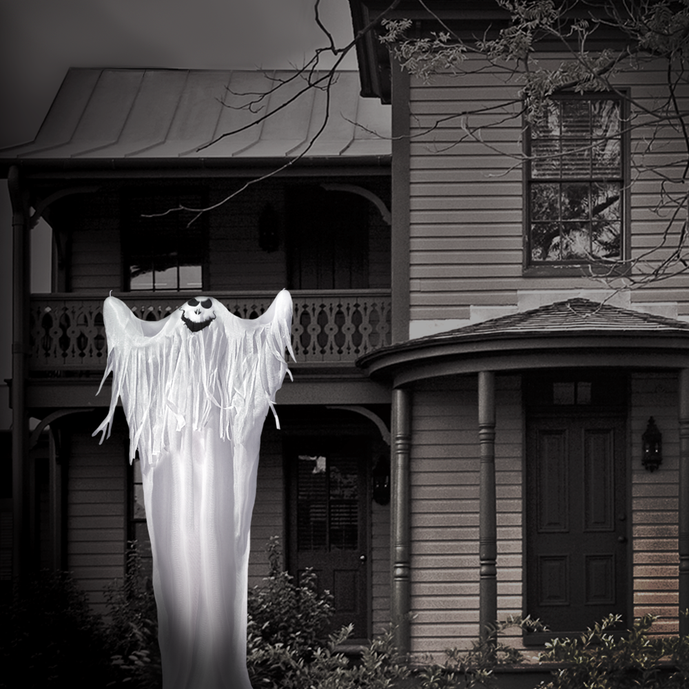 12ft Gutter Ghost™